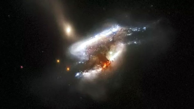 black-hole