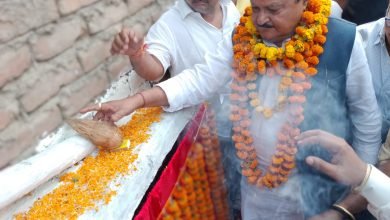 The minister laid the foundation stone of the bridge