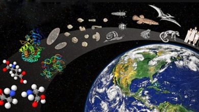 life-on-earth