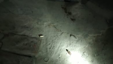 The criminals fired at the shopkeeper who was closing the shop