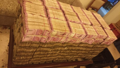 cash cbi